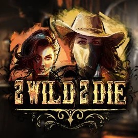 Play the 2 Wild 2 Die slot by Hacksaw Gaming on Rainbet Casino