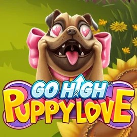 Go High Puppy Love by RubyPlay, showcased at rainbetcasino.online – game logo