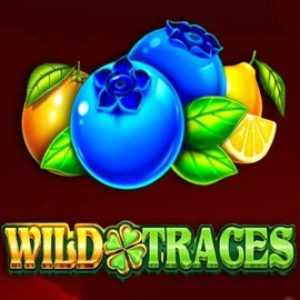 Wild Traces online slot from Amusnet Interactive – play at rainbetcasino.online