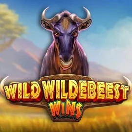 Play Wild Wildebeest Wins slot by Pragmatic Play on rainbetcasino.online